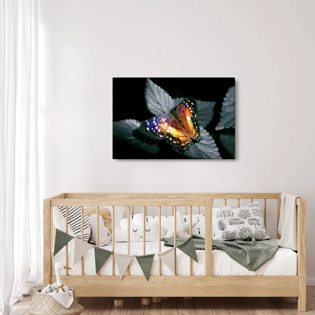 Tablou cu fluture (90x60 cm)