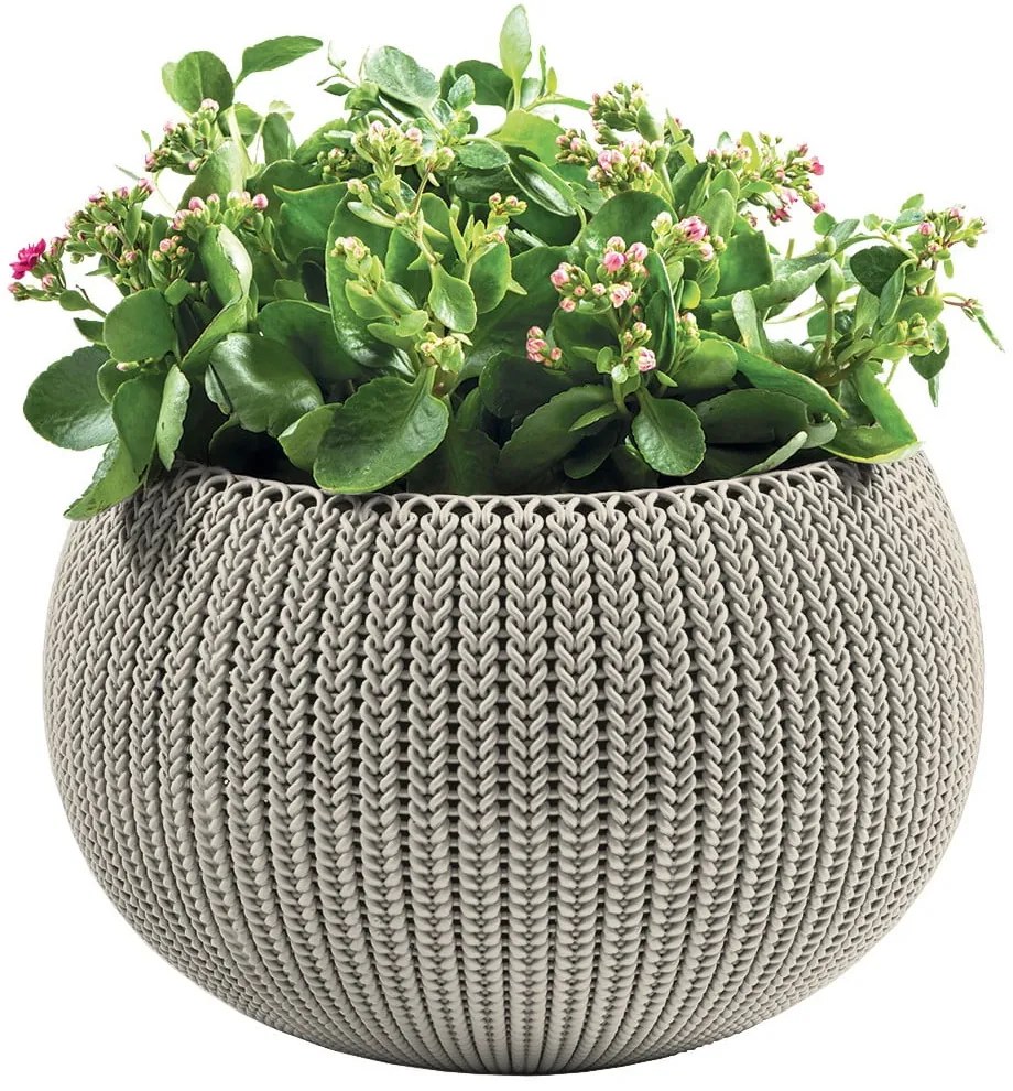 Ghiveci din plastic suspendat și de perete ø 36 cm Cozy – Keter