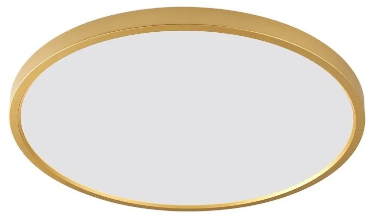Plafoniera LED moderna design slim CAMI 50cm, auriu