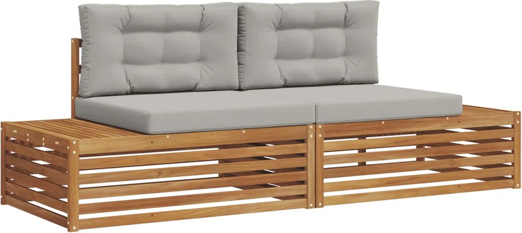 vidaXL Set de canapele de exterior 2 Bucată Gri natural și deschis