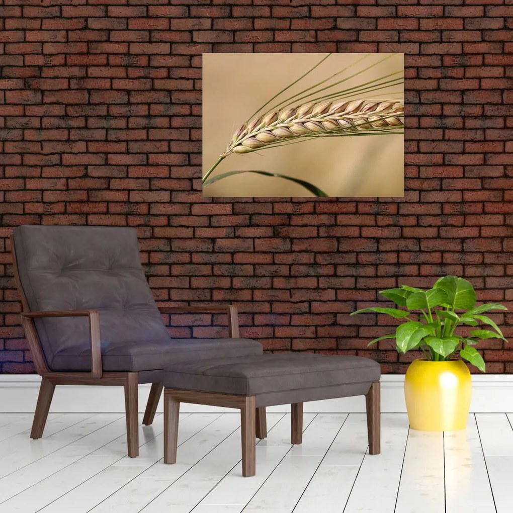 Tablou - Grâu (70x50 cm)