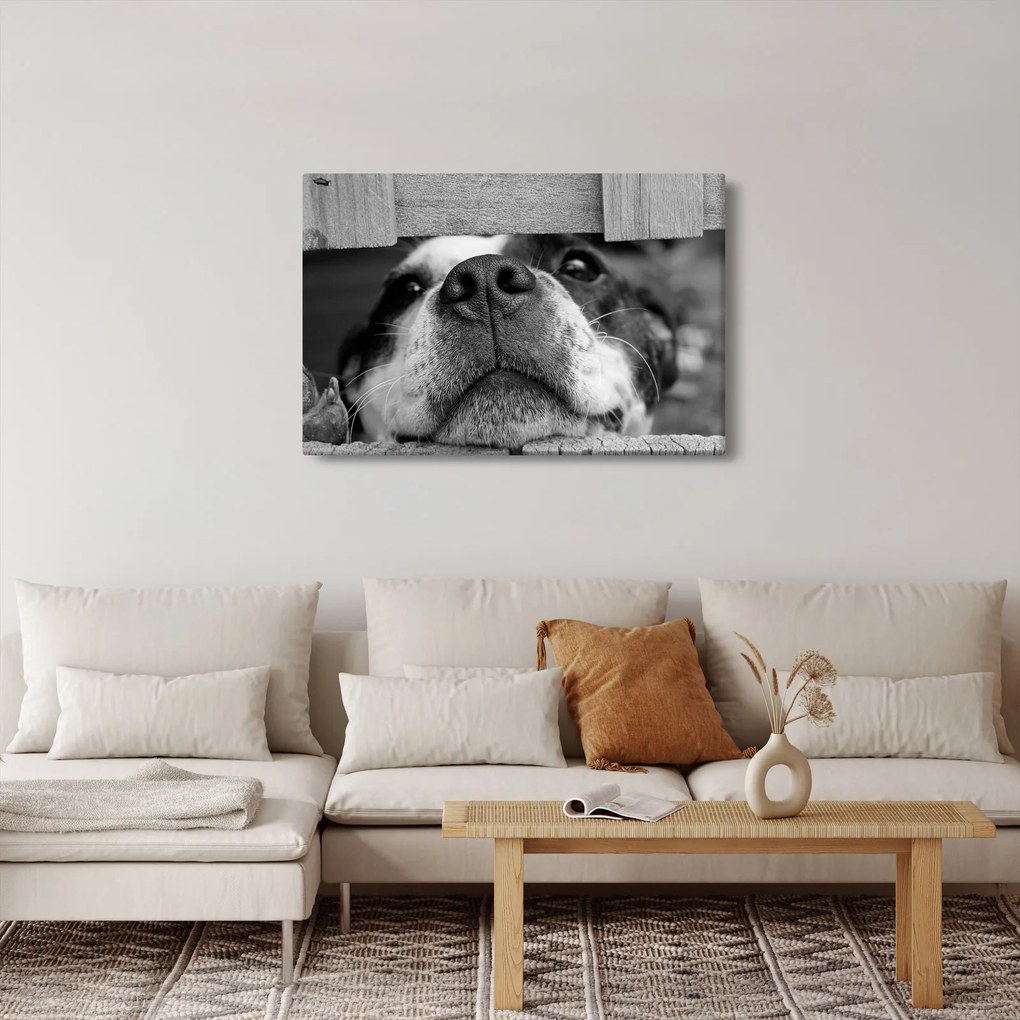Tablou cu câine (90x60 cm)