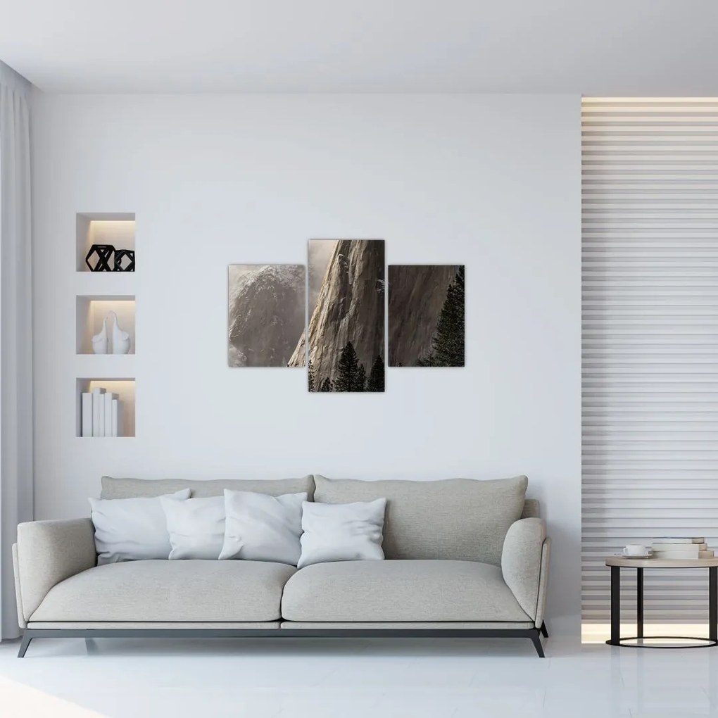 Tablou din valea Yosemite parcul național, SUA (90x60 cm)