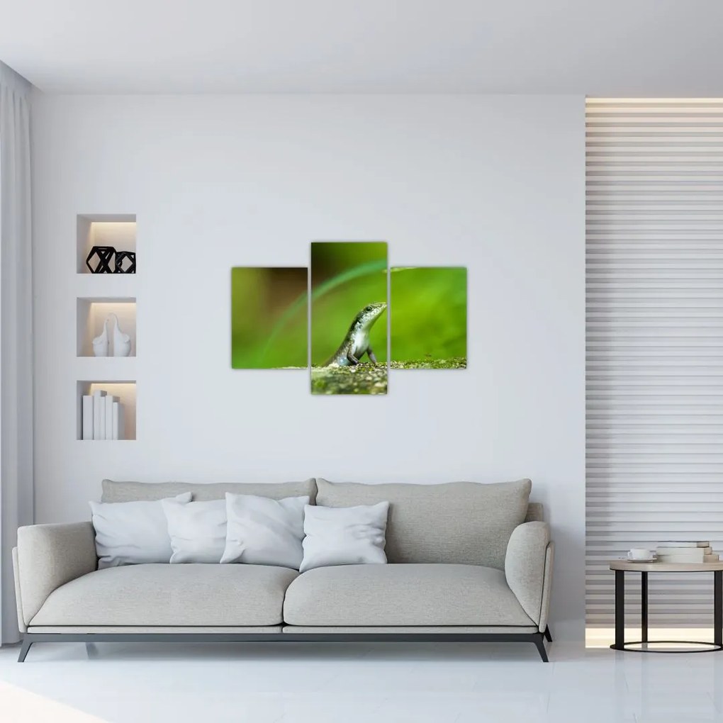 Tablou cu șopârlă (90x60 cm)