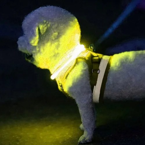 Zgardă luminoasă pentru câini - Purlov 24200