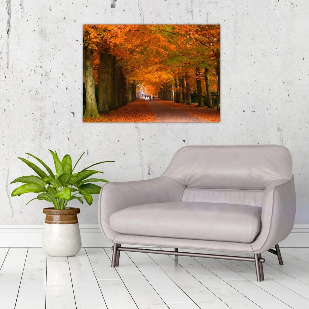 Tablou pe sticlă - Bulevardul de copaci în toamnă (70x50 cm)