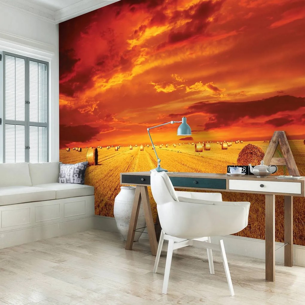Fototapet - Câmp (152,5x104 cm)