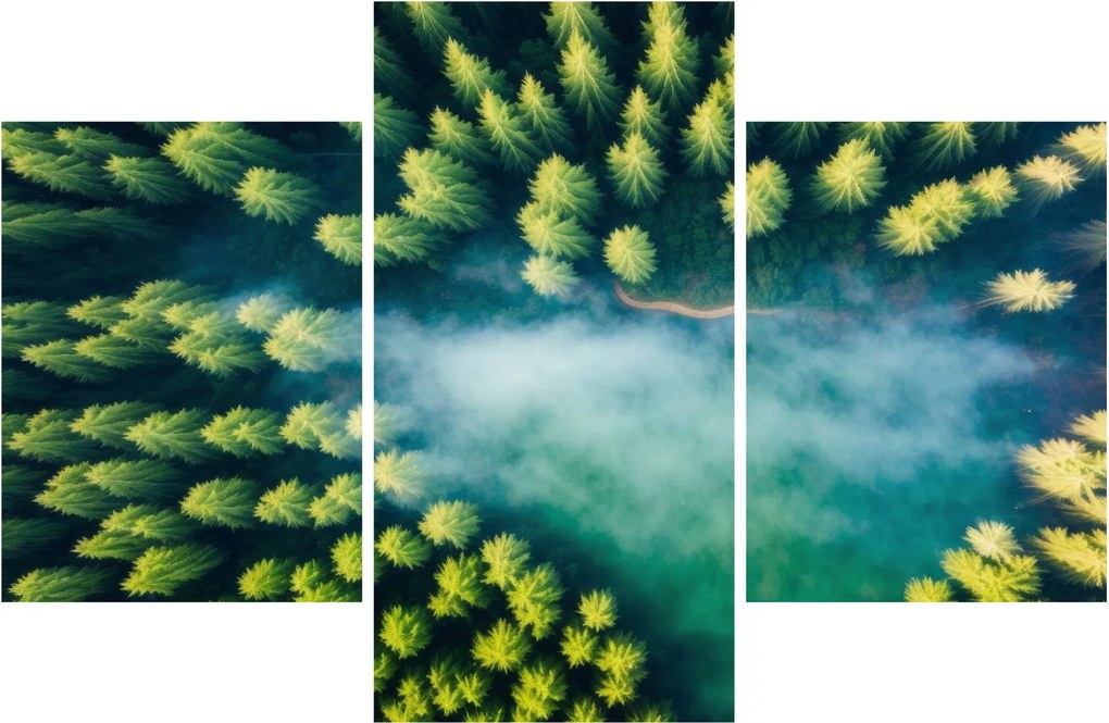 Tablou - O pădure învăluită în ceață (90x60 cm)