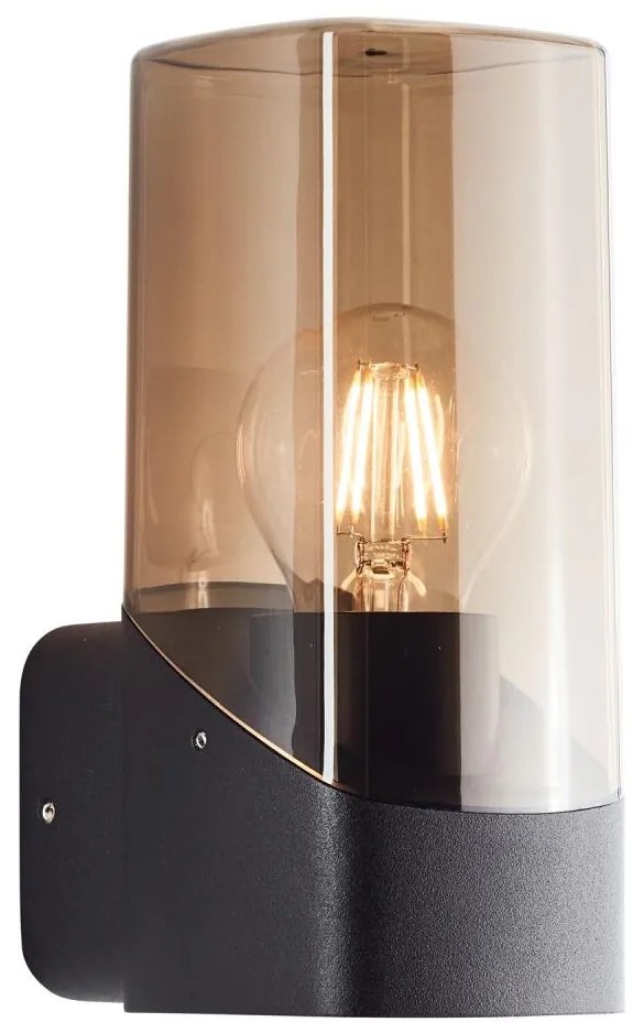 Aplică de exterior Brilliant MINOU 1xE27/10W/230V IP44 negru/fumuriu