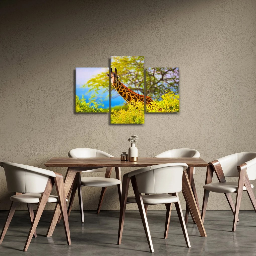 Tablou - Girafa în Africa (90x60 cm)