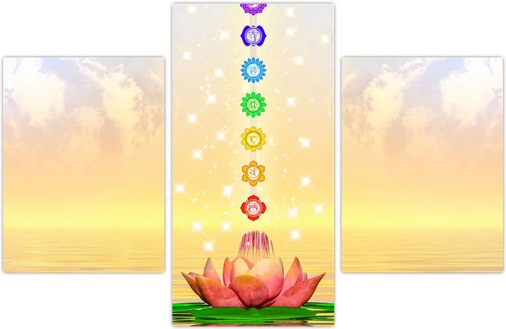 Tablou - Chakrele (90x60 cm)