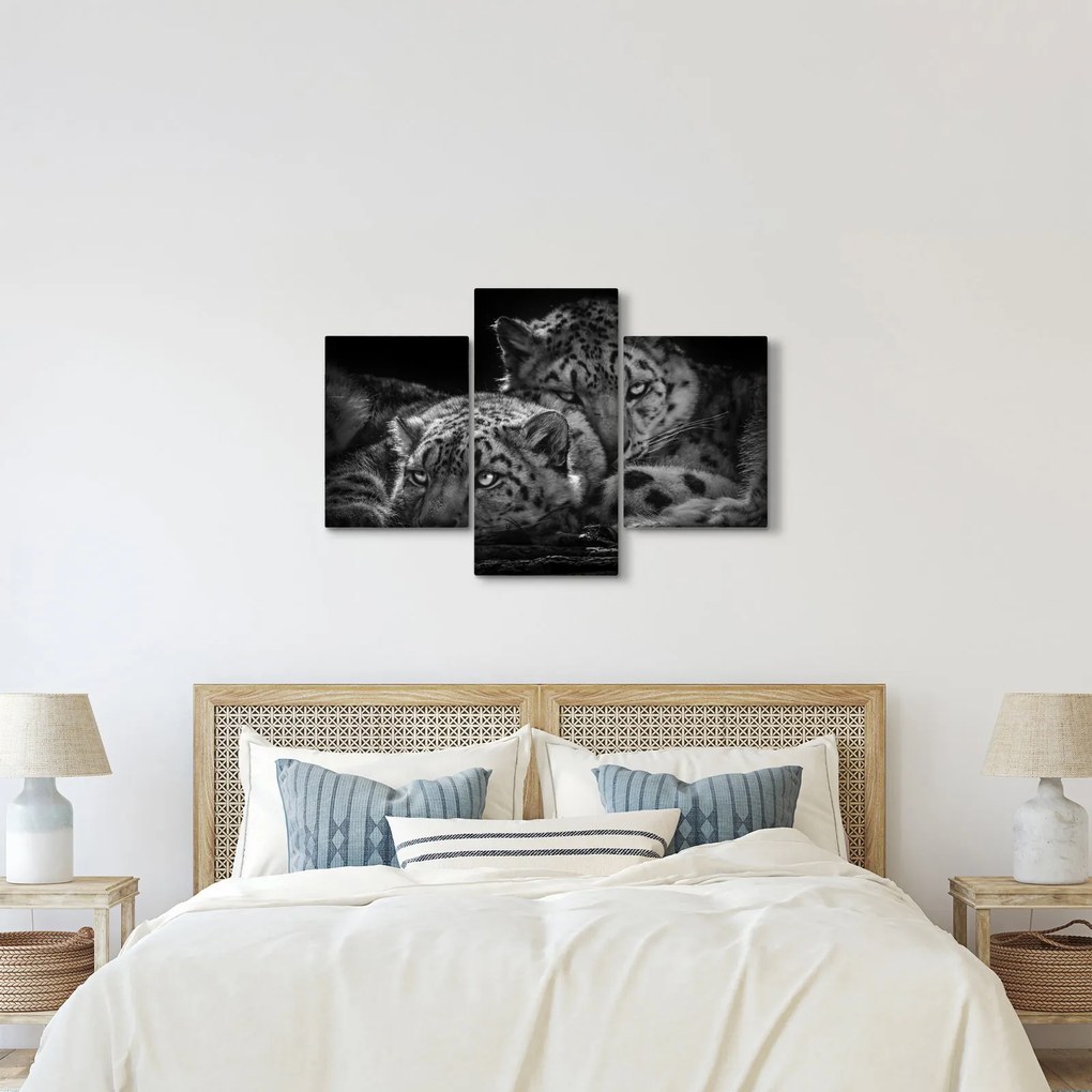 Tablou - Gheparzi care se odihnesc (90x60 cm)