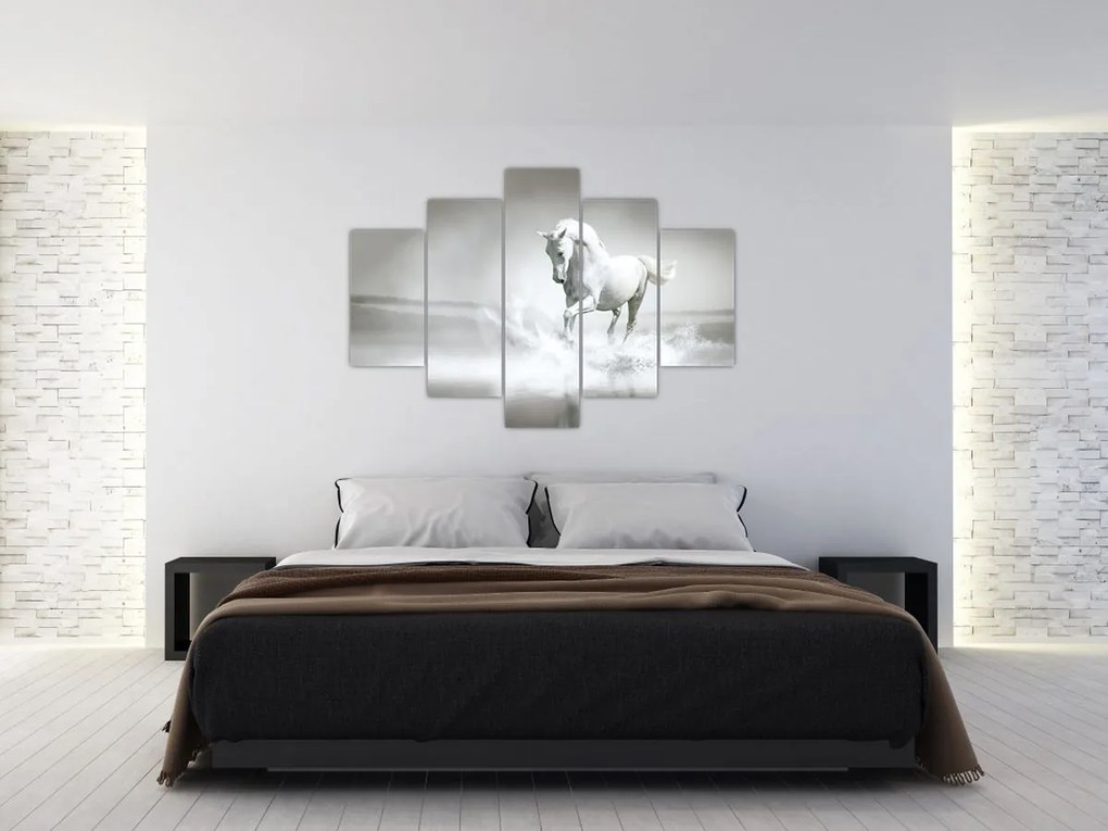 Tablou - Cal alb (150x105 cm)