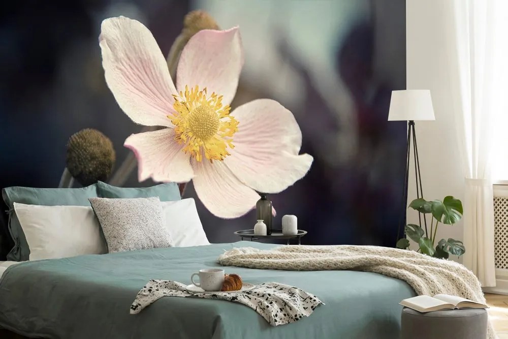 Fototapet delicatețea floarelui