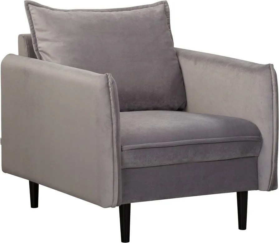 Fotoliu gri cu tapițerie din catifea Juli – Ropez