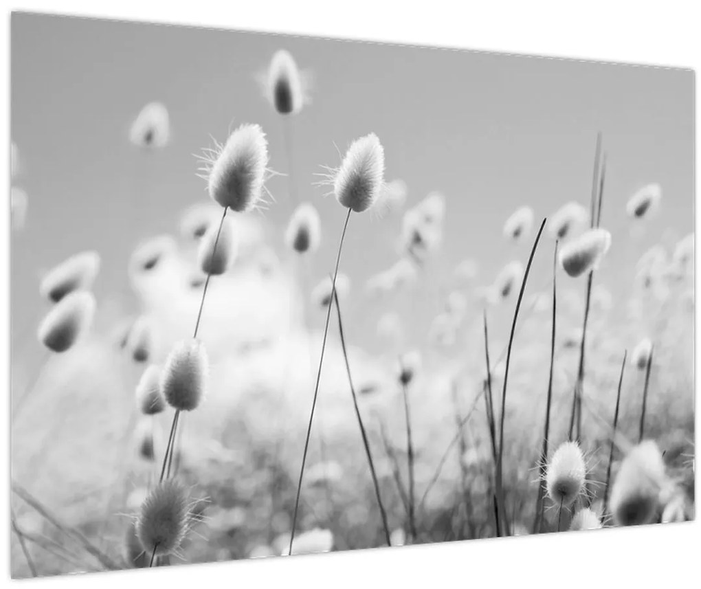 Tablou - Boho iepuraș coadă de iarbă (90x60 cm)