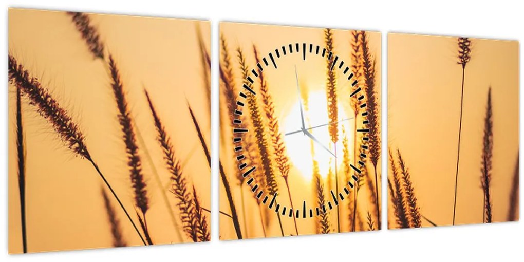 Tablou - Iarbă la soare (cu ceas) (90x30 cm)