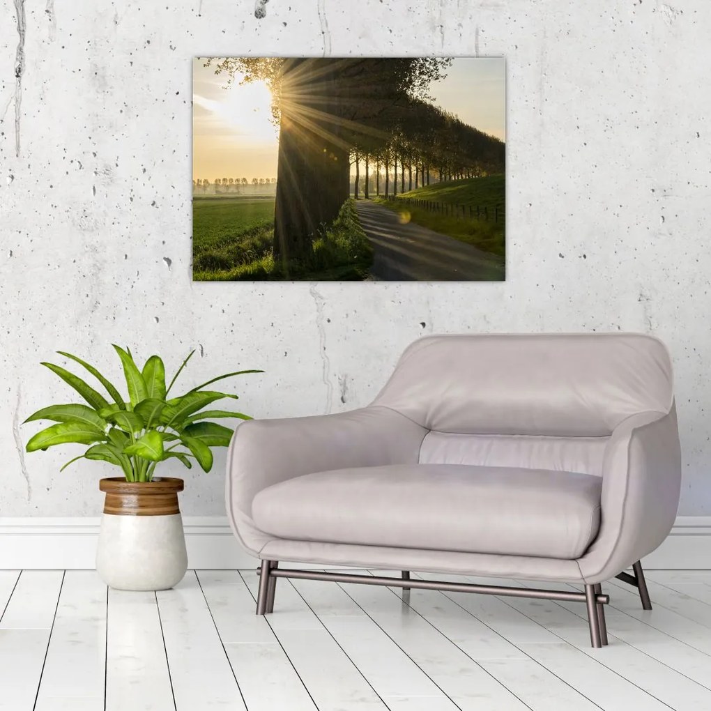 Tablou cu alee (70x50 cm)