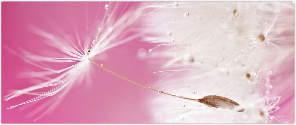 Tablou - Floare macro (120x50 cm)