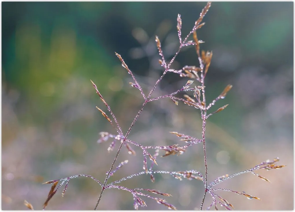 Tablou - Detaliu timp (70x50 cm)