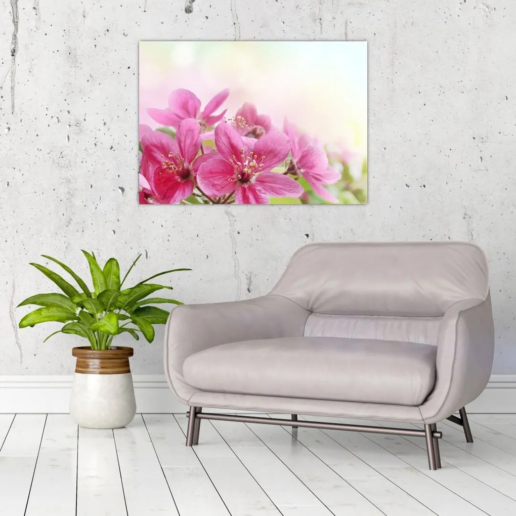 Tablou - Flori roz (70x50 cm)