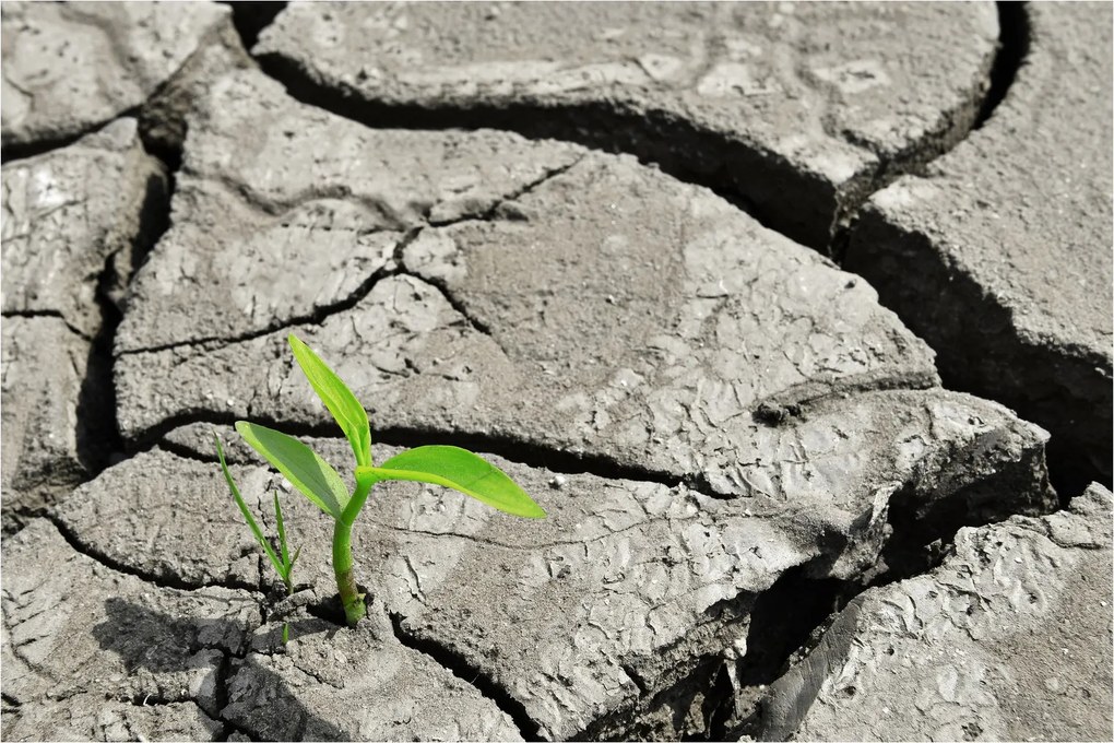 Tablou - Fisuri (90x60 cm)
