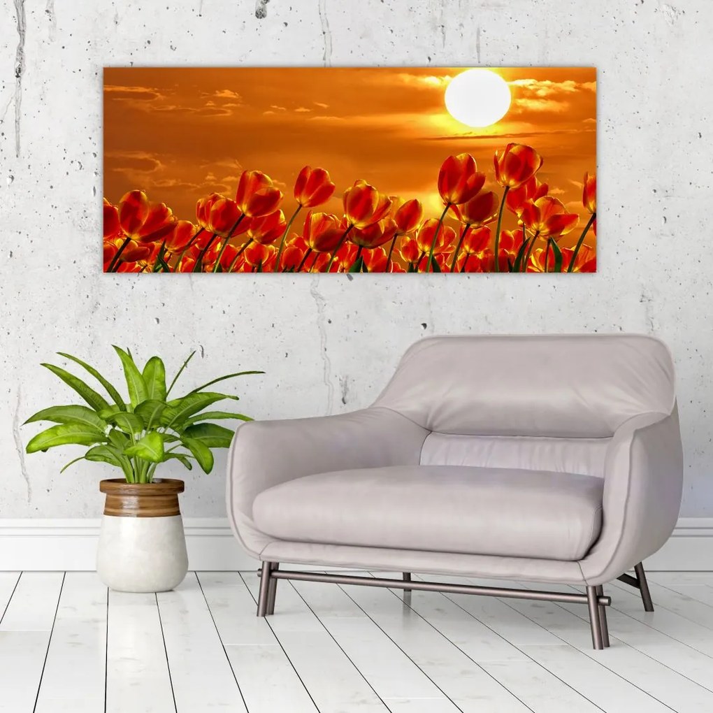 Tablou - lan înflorit de lalele (120x50 cm)