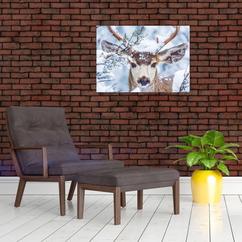 Tablou - Cerbul catâr (70x50 cm)