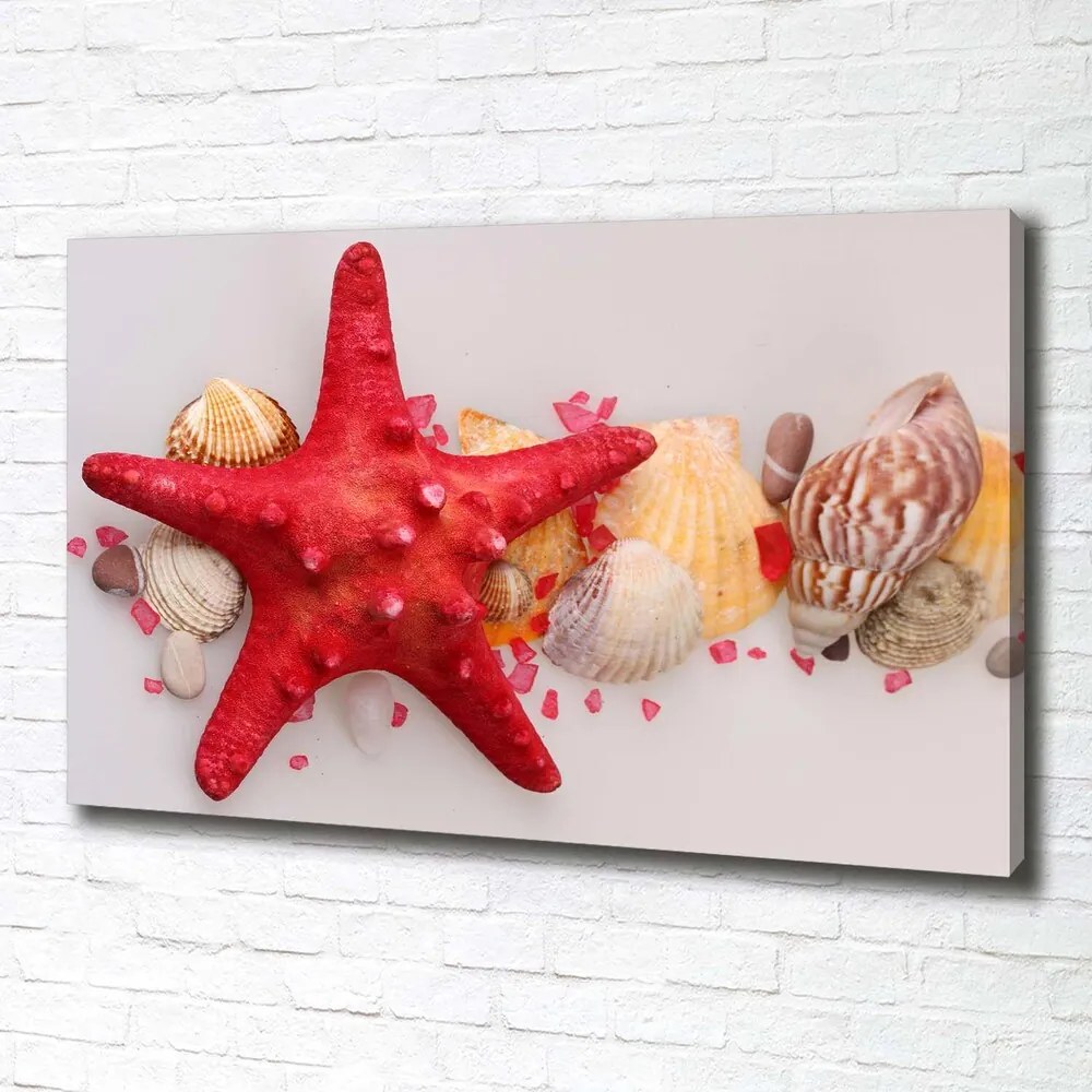 Tablou canvas Starfish și scoici