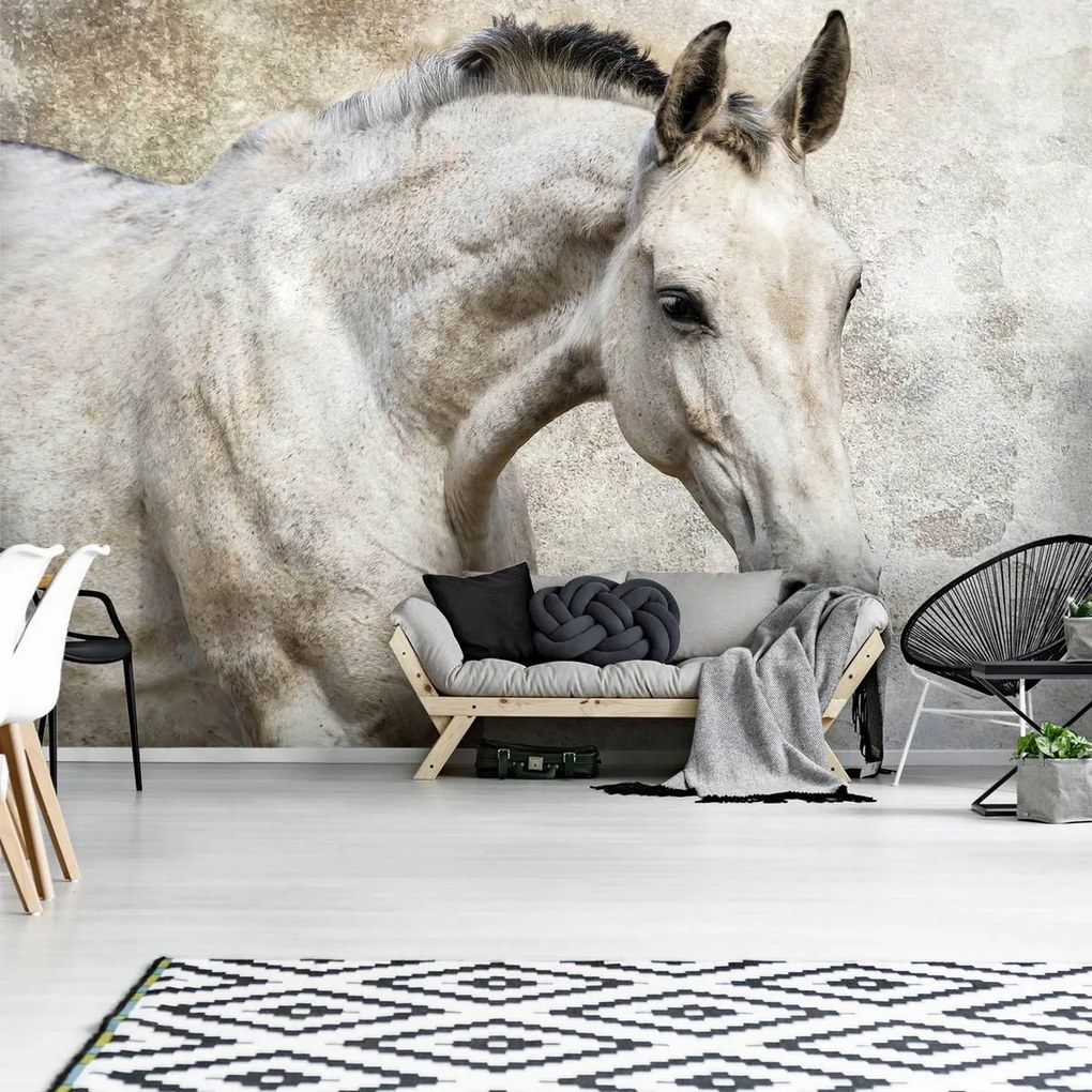 Fototapet - Cal (152,5x104 cm)