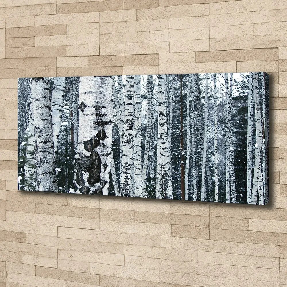 Tablou canvas Mesteacan
