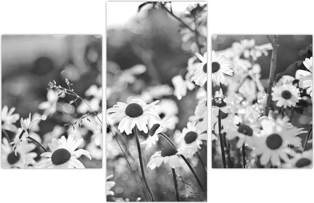 Tablou - Margarete (90x60 cm)