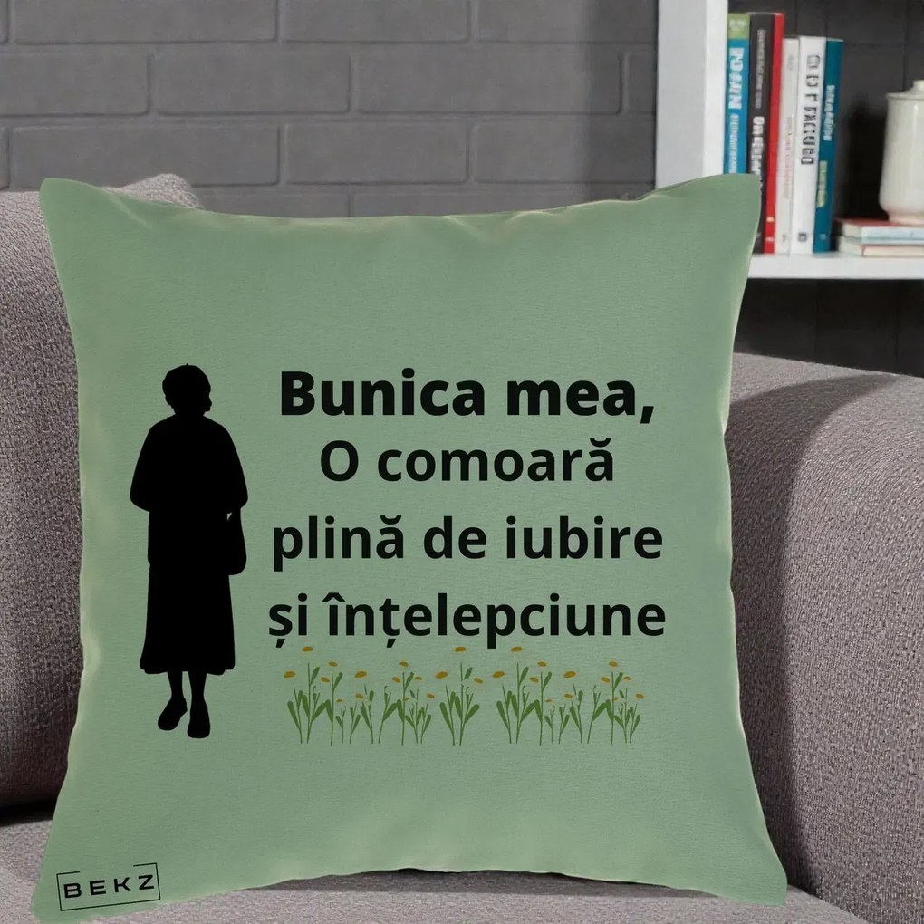 Cadou pentru Bunica - Perna Personalizata Bunica Mea Comoara Iubire Intelepciune Silueta cu Nepoata, 40x40 cm, Verde, Husa Detasabila, Perna Inclusa, BEKZ®