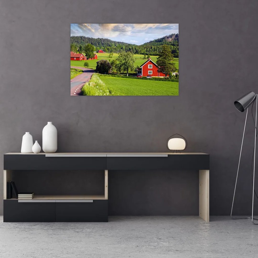 Tabloul cu țară (90x60 cm)