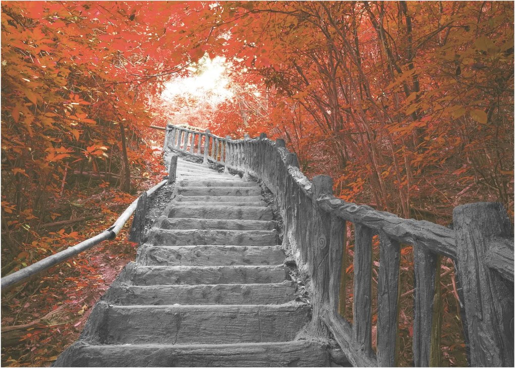 Tablou - Scări în natură, portocaliu (70x50 cm)