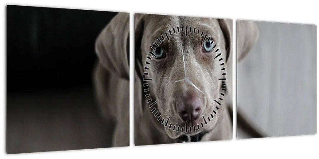 Tablou cu cățeluș (cu ceas) (90x30 cm)