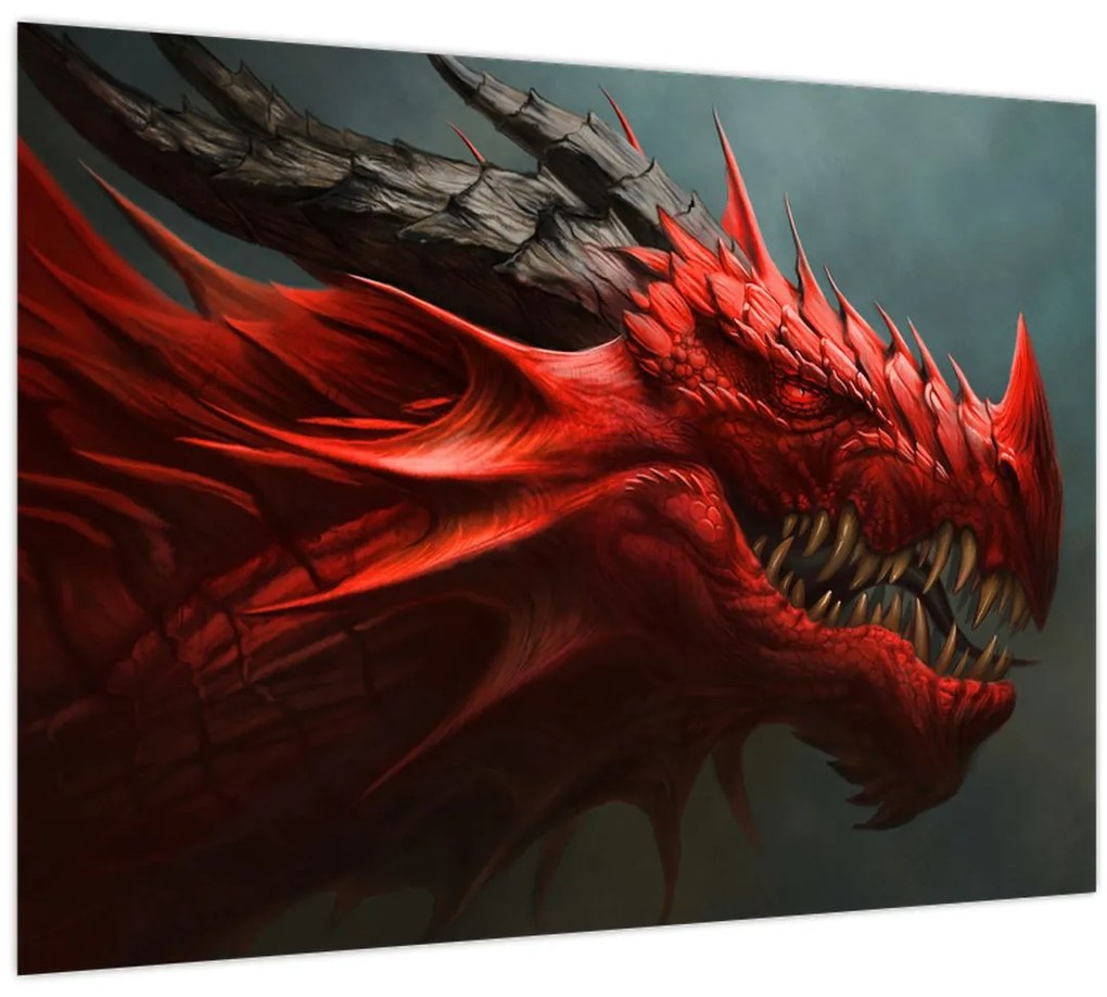 Tablou - Zmeu (70x50 cm)