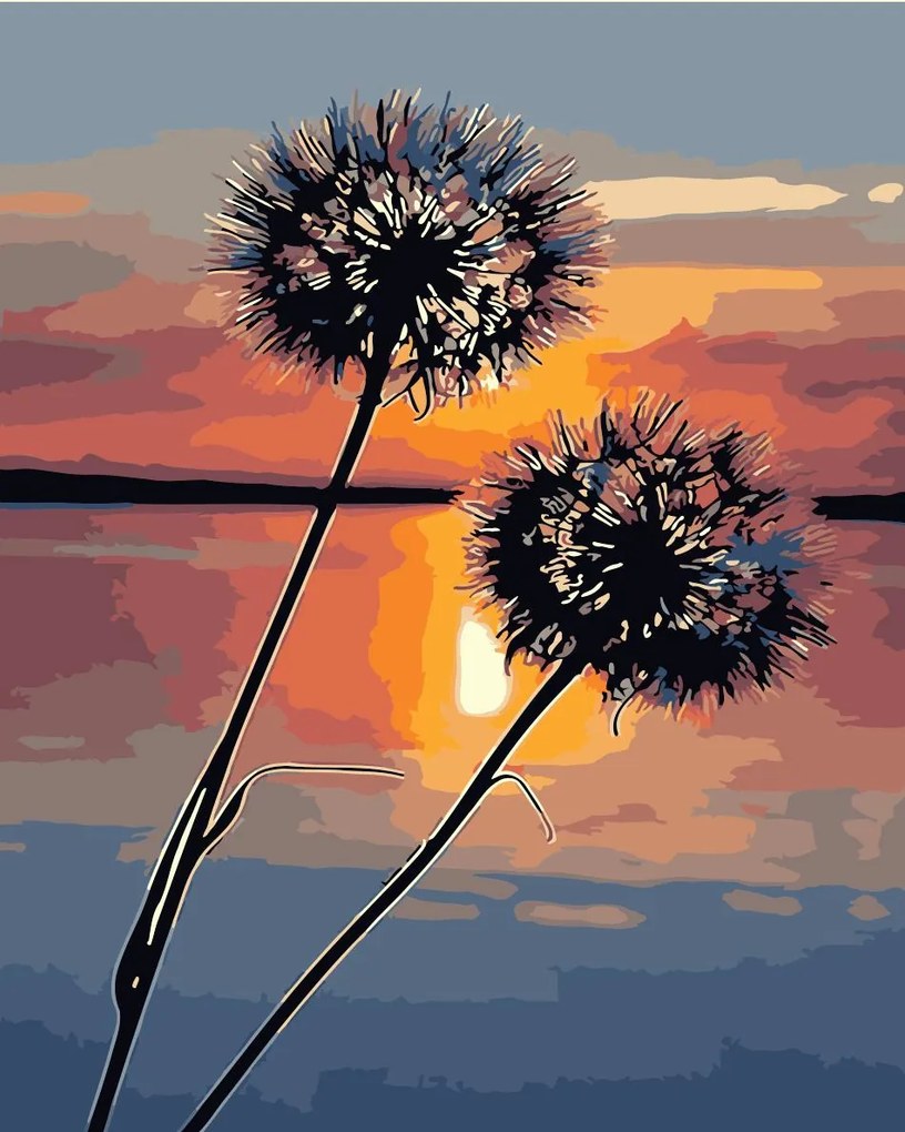 Pictura pe numere cu un cadru "Apusul 2" 50x40 cm