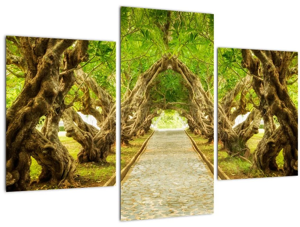 Tablou - Tunel viu din plumeria (90x60 cm)