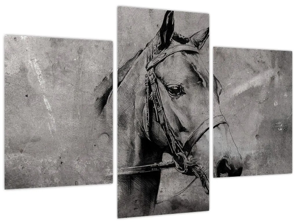 Tablou - Portret de cal (90x60 cm)