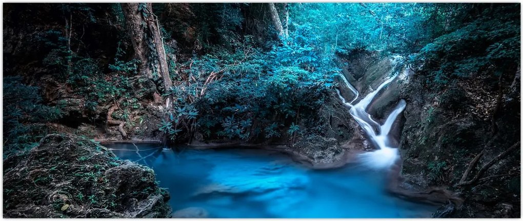 Tablou - Noaptea magică în pădurea tropicală (120x50 cm)