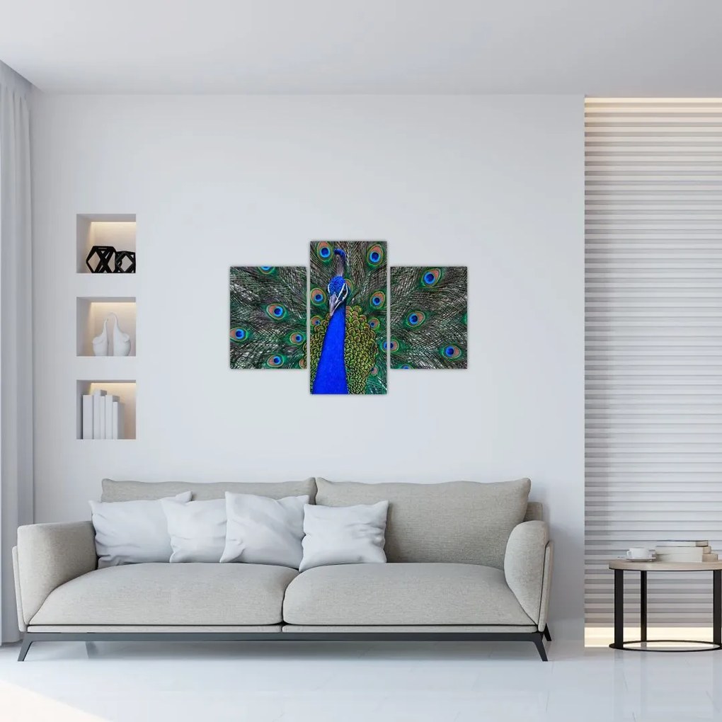 Tablou - Păun (90x60 cm)