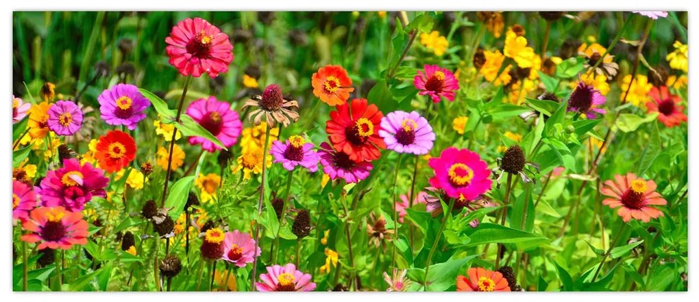 Tablou cu flori de luncă (120x50 cm)