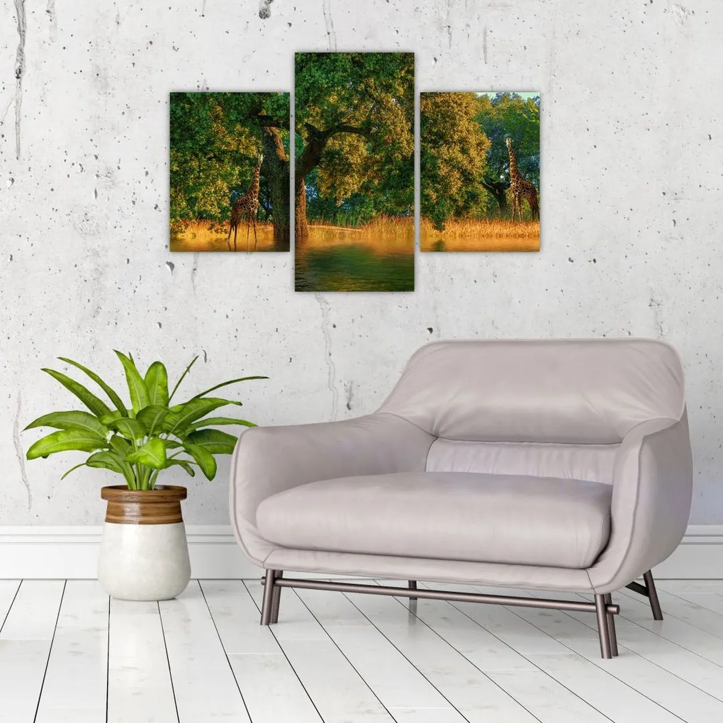 Tablou cu girafe în natură (90x60 cm)