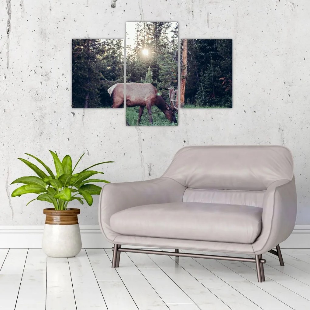 Tablou - Elan în poiană (90x60 cm)