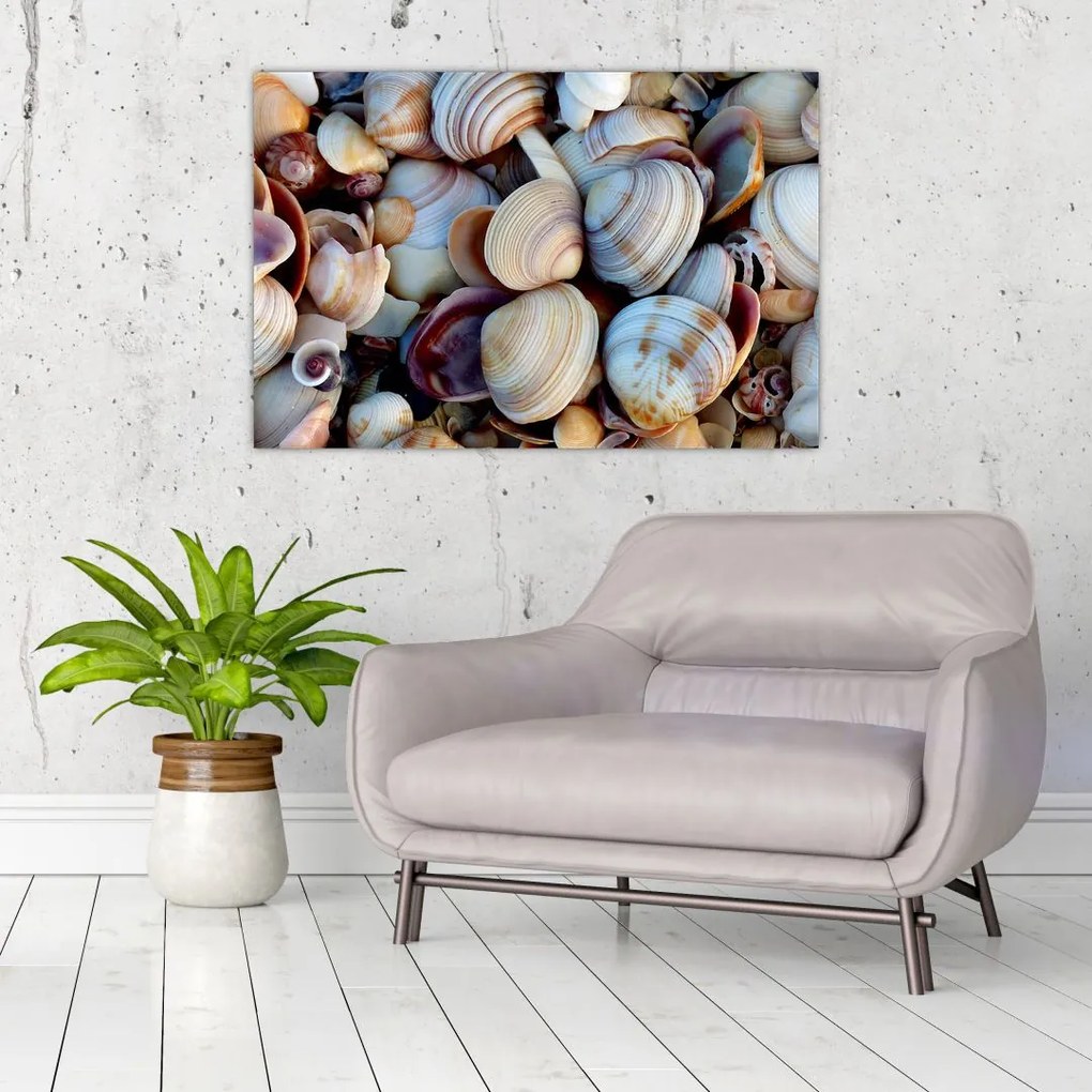 tablou cu scoici (90x60 cm)