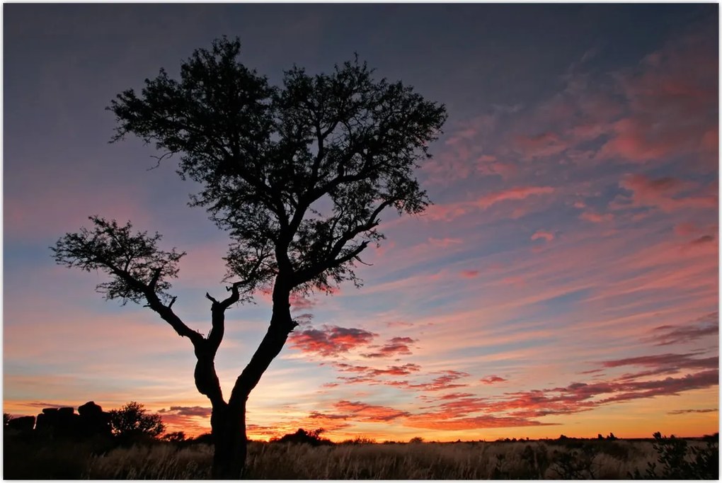 Tablou - Copac și nuanțe roșiatice (90x60 cm)