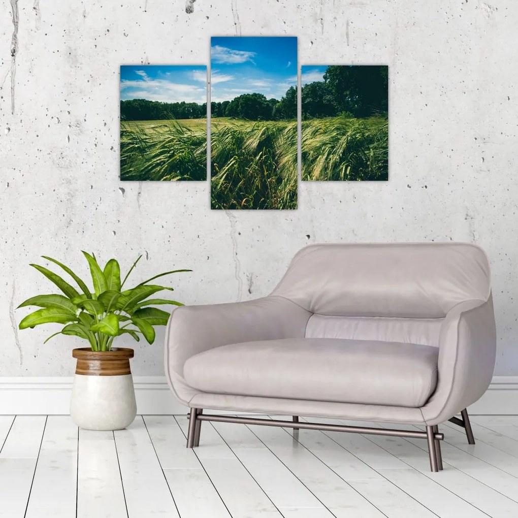 Tablou cu linca și pădure (90x60 cm)