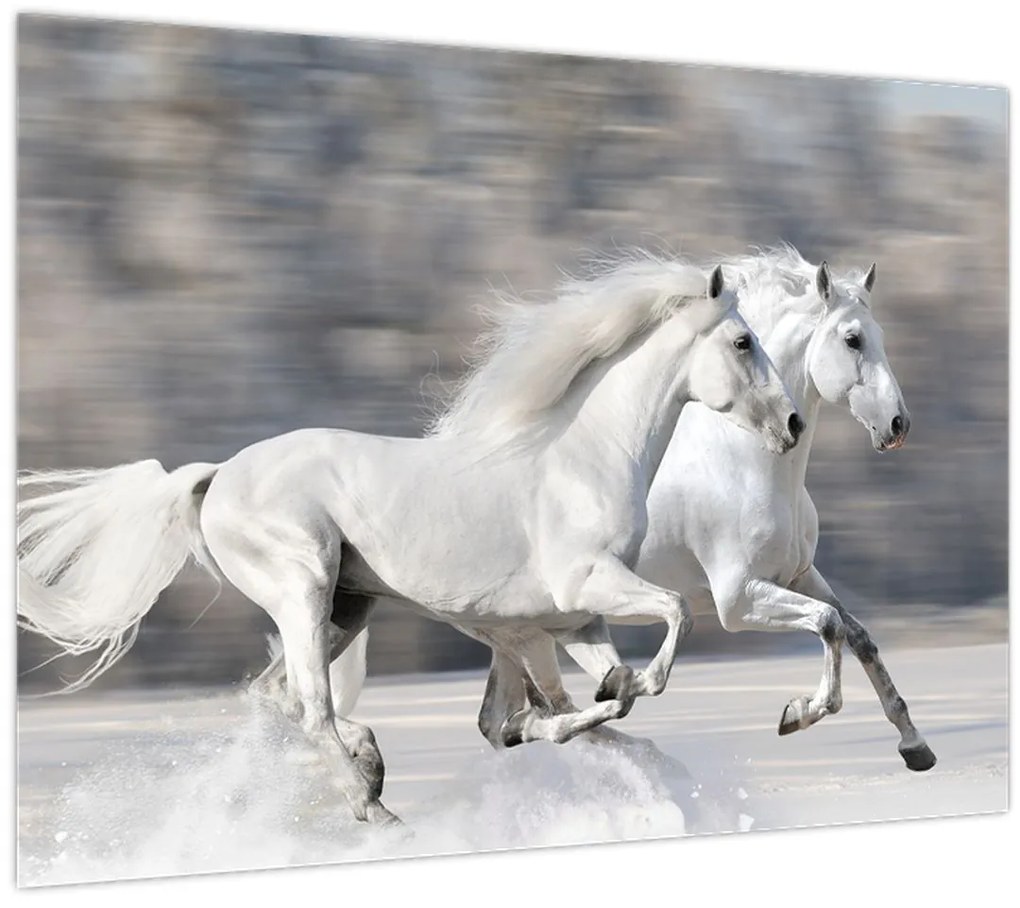 Tablou - Cai albi în timpul iernii (70x50 cm)