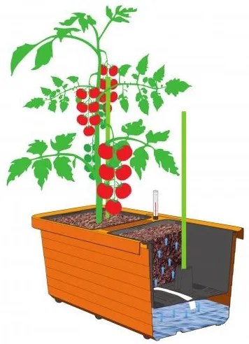 Jardinieră auto-udare Berberis DUO, teracota